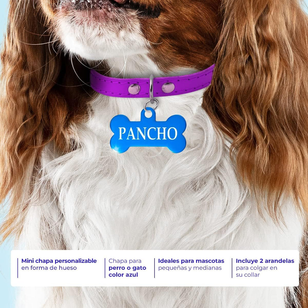 Ibera Gifts - Chapa Perro Grabada en Forma de Hueso para Perros y Gatos Pequeños a Medianos, Placa Perro Personalizada, Aluminio Brillante, Tamaño 30 x 15 mm (Azul)