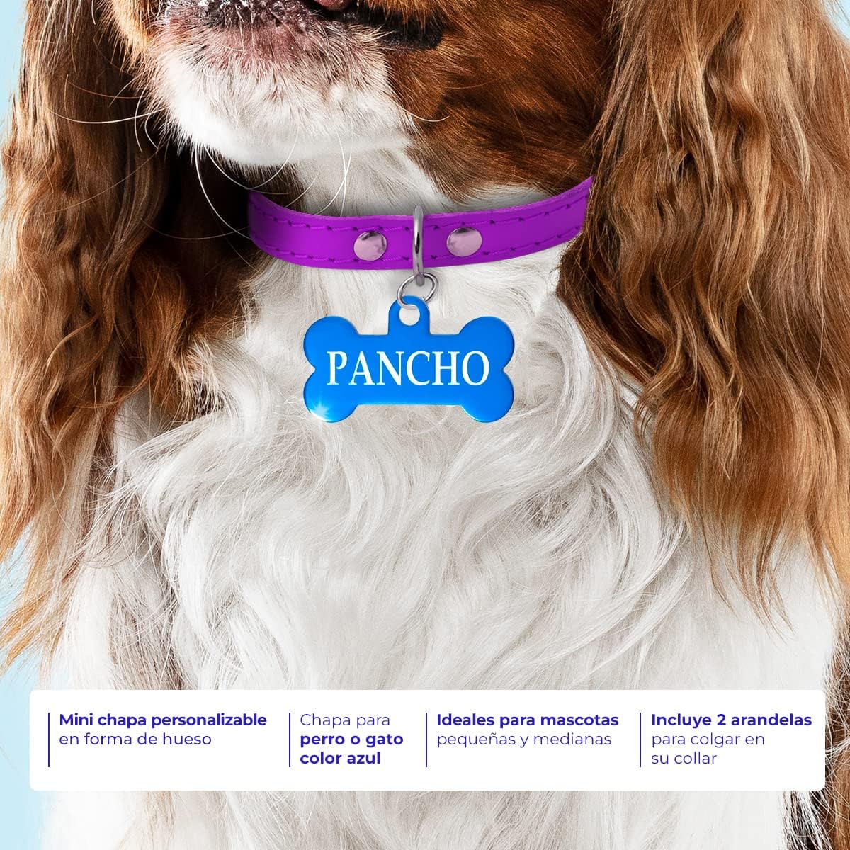 Ibera Gifts - Chapa Perro Grabada en Forma de Hueso para Perros y Gatos Pequeños a Medianos, Placa Perro Personalizada, Aluminio Brillante, Tamaño 30 x 15 mm (Azul)