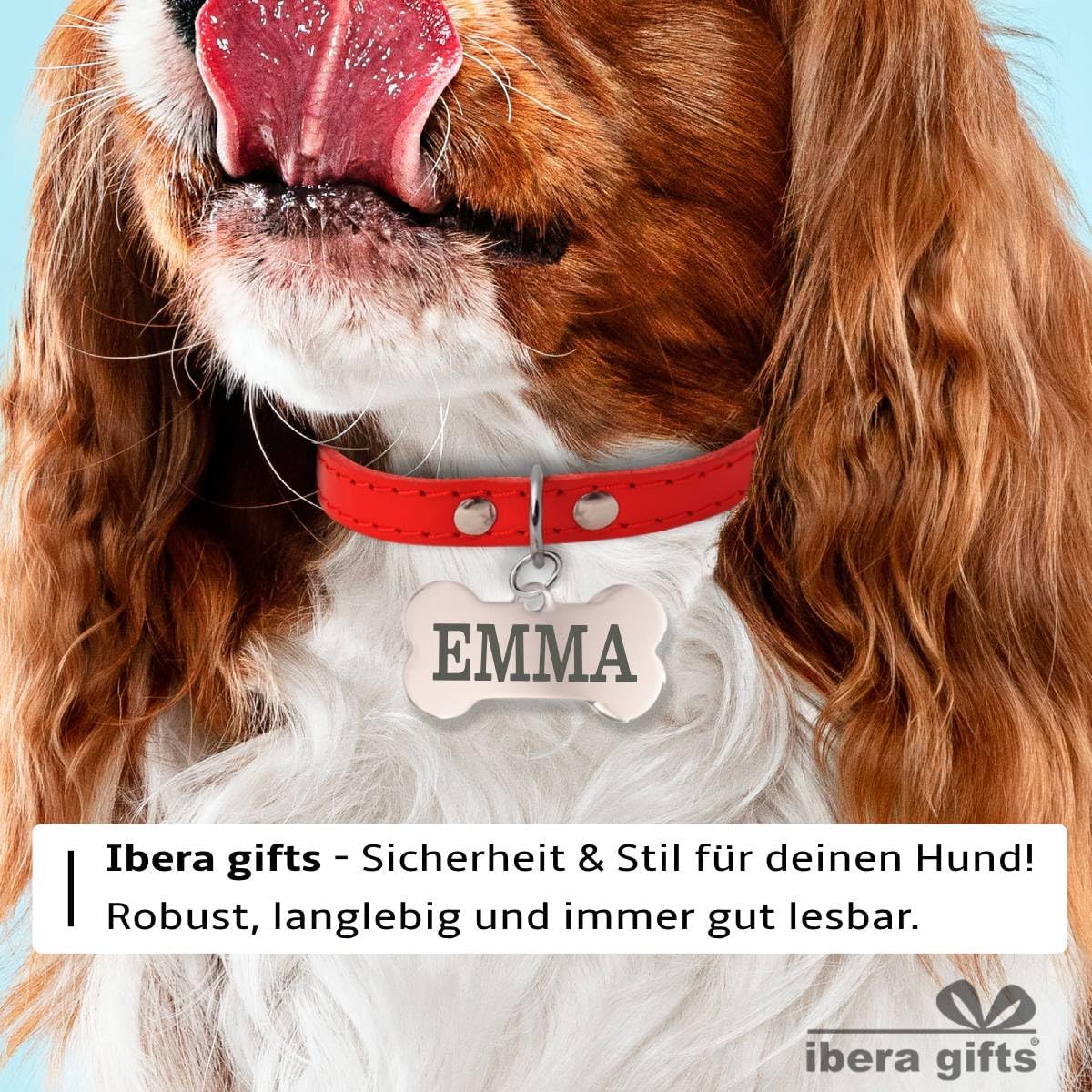 Ibera gifts - Hundemarke Mit Gravur - Personalisierte Hundemarke Für Mittelgroße Bis Große Hunde - Edelstahl 37 x 23 mm - Hundeanhänger Mit Gravur - Mit Strasssteinen (Silber/Strass/Pfote)